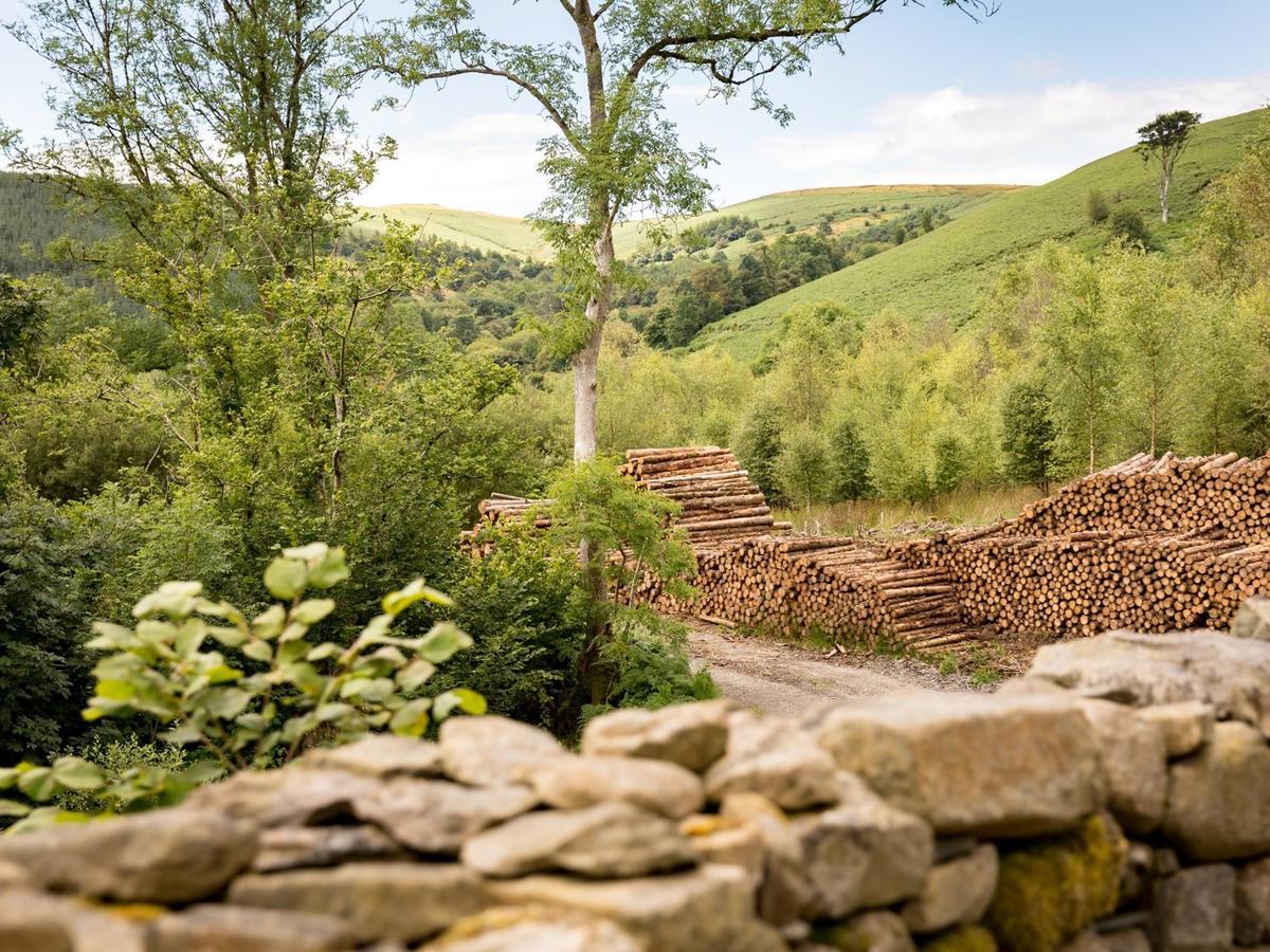 Red Kite Barn - Charming Boutique Barn Conversion Newbridge on Wye Exteriér fotografie